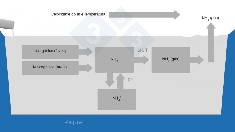 Gr&aacute;fico 2.&nbsp;Ciclo de formação de amoníaco (NH3) durante o armazenamento do chorume.